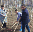 Сотрудники Надымской ЦРБ приняли участие в общегородском субботнике - Надымская ЦРБ