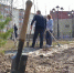 В День посадки леса в Надыме стало зеленее - ТРК Надым