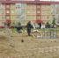 Комфортная городская среда активно реализуется на территории Надымского района - ТРК Надым