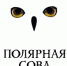 В Надыме стартовала Районная краеведческая олимпиада «Полярная сова» - Департамент образования Надымского р-на