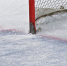 На Северном полюсе пройдёт хоккейный матч, посвящённый проблемам экологии - ТРК Надым