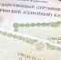 Госдума во втором чтении приняла поправки к закону о материнском капитале - ТРК Надым