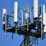 За подключение деревень к мобильной связи 4G россияне проголосуют на госуслугах - ТРК Надым
