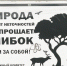 Пангодинцы рассказали о том, как улучшить экологию родного края - ТРК Надым