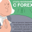 Можно ли в действительности заработать на форексе и как отличить мошенников? Подробности – в карточках - Музей истории и археологии