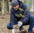 Уральские учёные разработали правила озеленения ямальских городов и посёлков - ТРК Надым