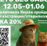 На Ямале стартует акция «Лето без забот» по стерилизации домашних животных - ТРК Надым