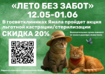 На Ямале стартует акция «Лето без забот» по стерилизации домашних животных